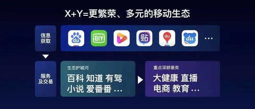 潮起夜 互联网信息服务的璀璨征程